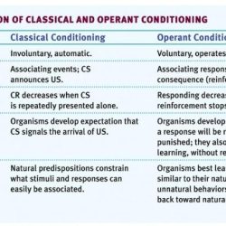 Conditioning classical stimulus response organism sor