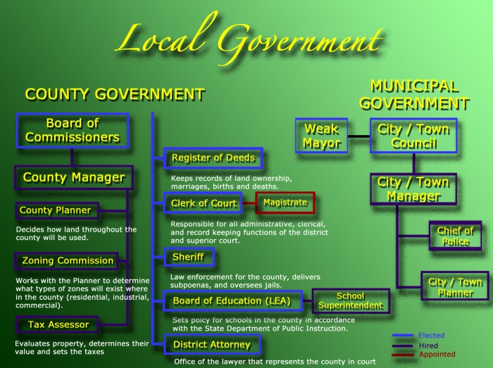 Graphic organizer branches of government