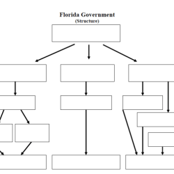 Graphic organizer branches of government