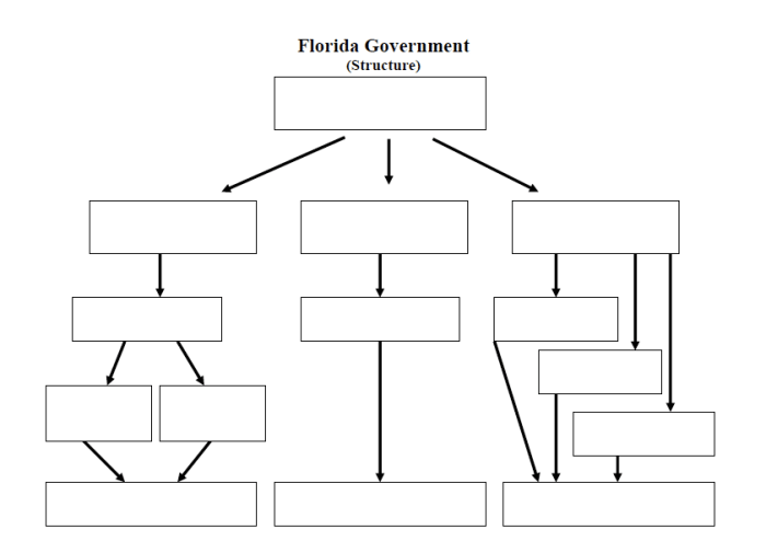 Graphic organizer branches of government