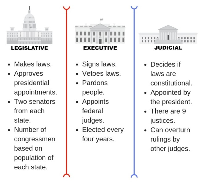 Branches organizer government graphic subject