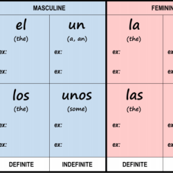 Nouns proper numbers definite sequence ordinal followed letter words final test number list contact book