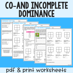 Incomplete codominance dominance punnett crosses monohybrid complete studying