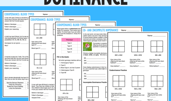 Incomplete codominance dominance punnett crosses monohybrid complete studying